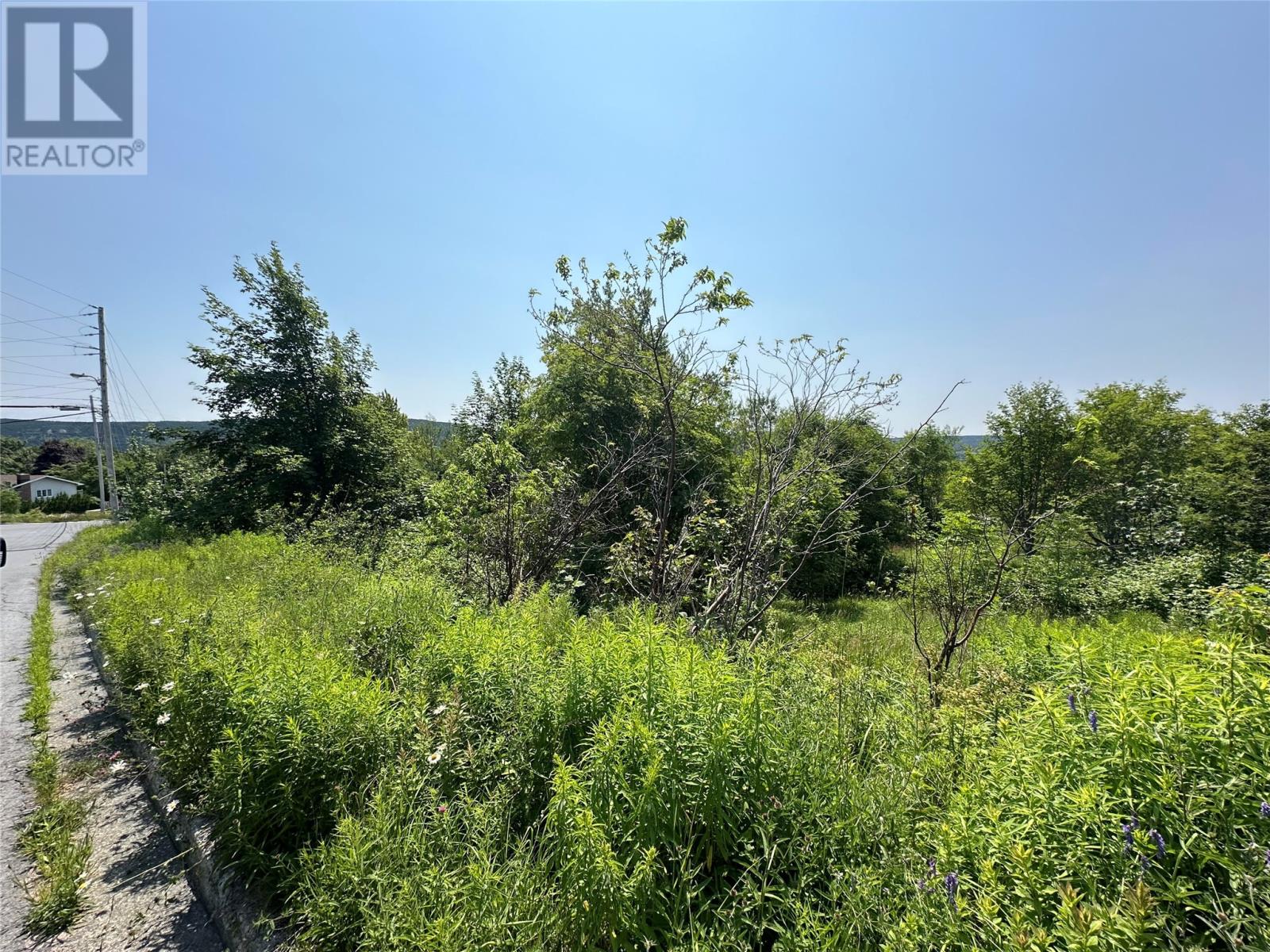 1-19 Moores Hill, Carbonear, Newfoundland & Labrador  A1Y 1A6 - Photo 5 - 1284917