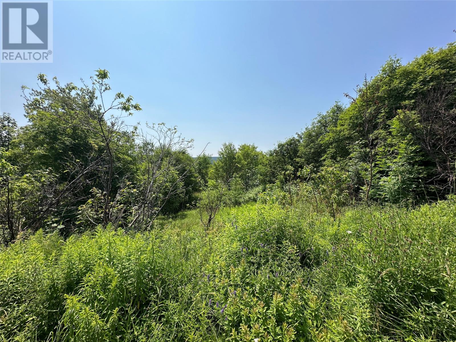 1-19 Moores Hill, Carbonear, Newfoundland & Labrador  A1Y 1A6 - Photo 7 - 1284917