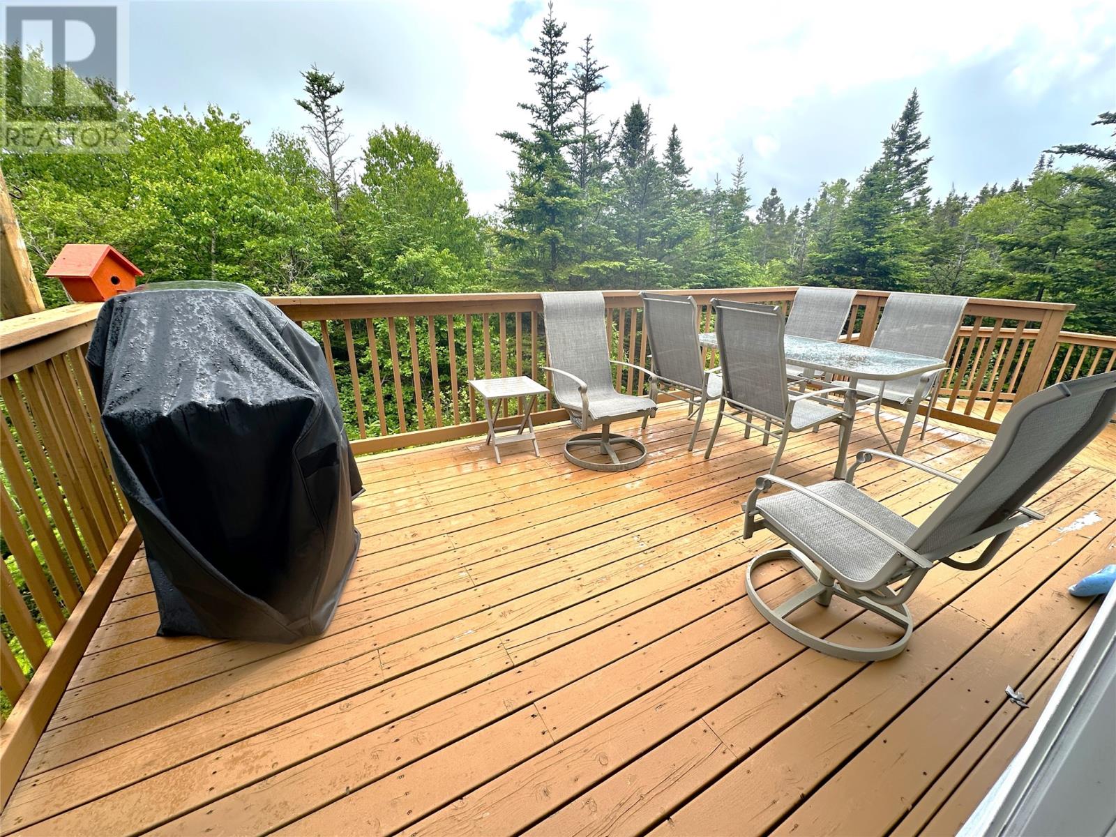 6 Island Pond Road, Spread Eagle, Newfoundland & Labrador  A0B 2W0 - Photo 20 - 1287134