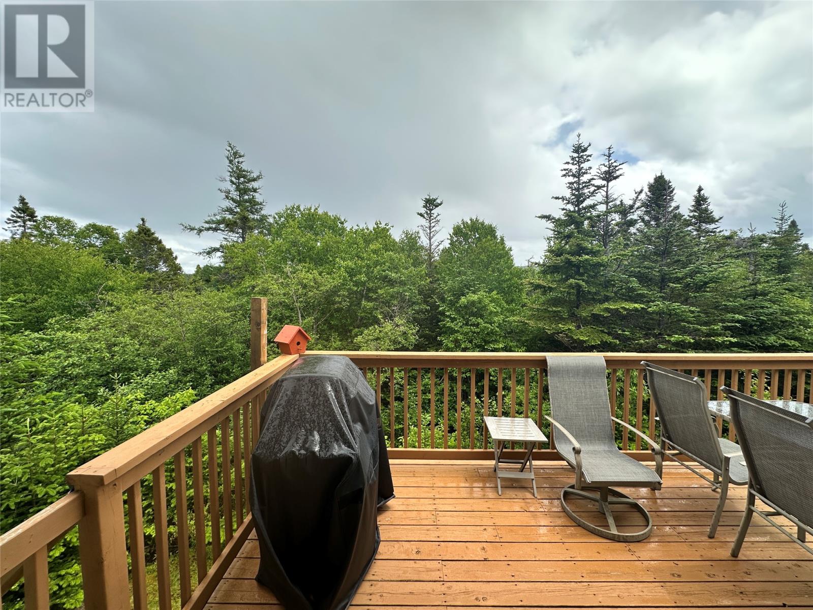6 Island Pond Road, Spread Eagle, Newfoundland & Labrador  A0B 2W0 - Photo 21 - 1287134