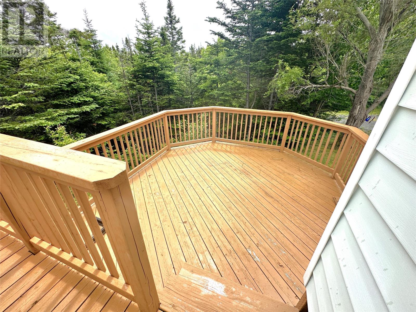 6 Island Pond Road, Spread Eagle, Newfoundland & Labrador  A0B 2W0 - Photo 22 - 1287134