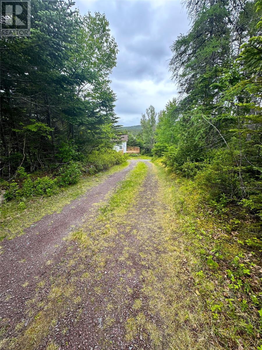 6 Island Pond Road, Spread Eagle, Newfoundland & Labrador  A0B 2W0 - Photo 23 - 1287134
