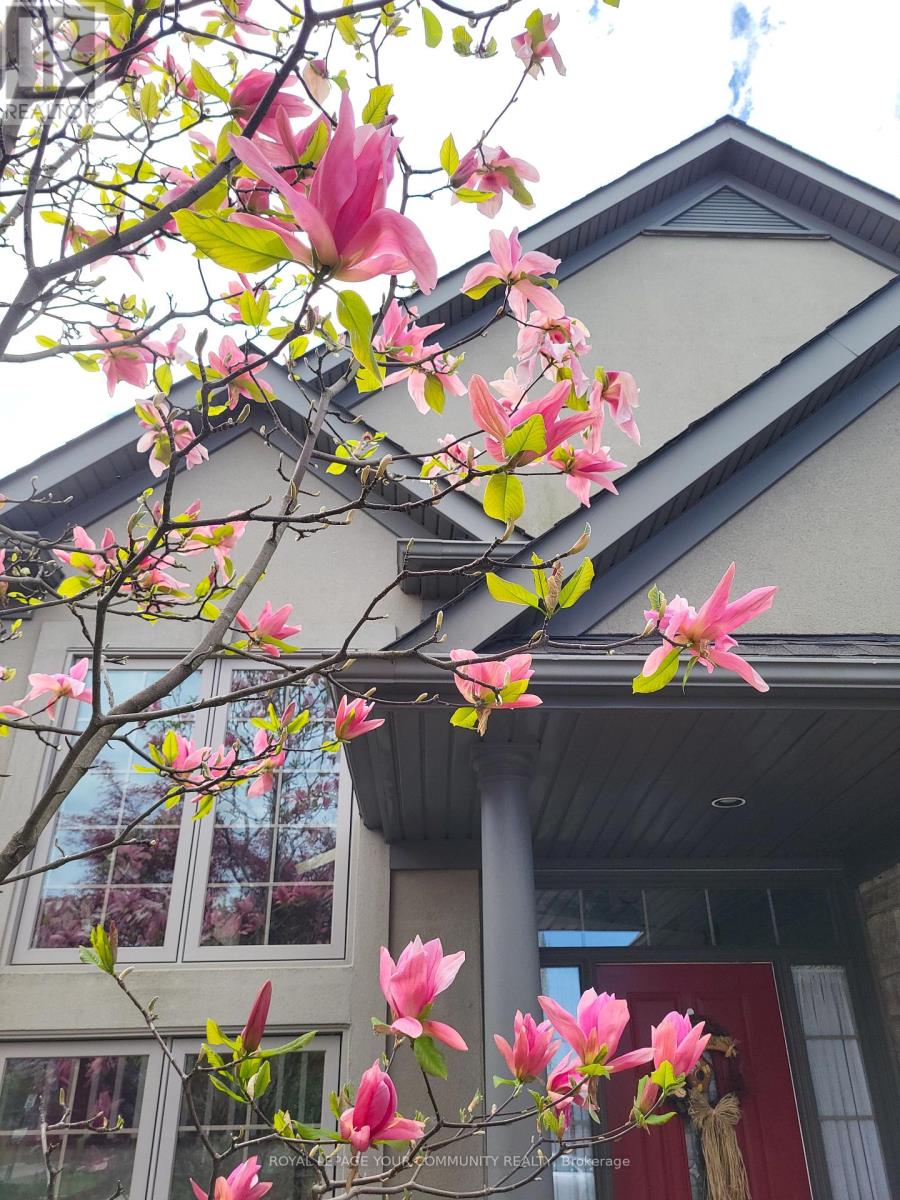 Property at 61 FRONTIER DRIVE image 3