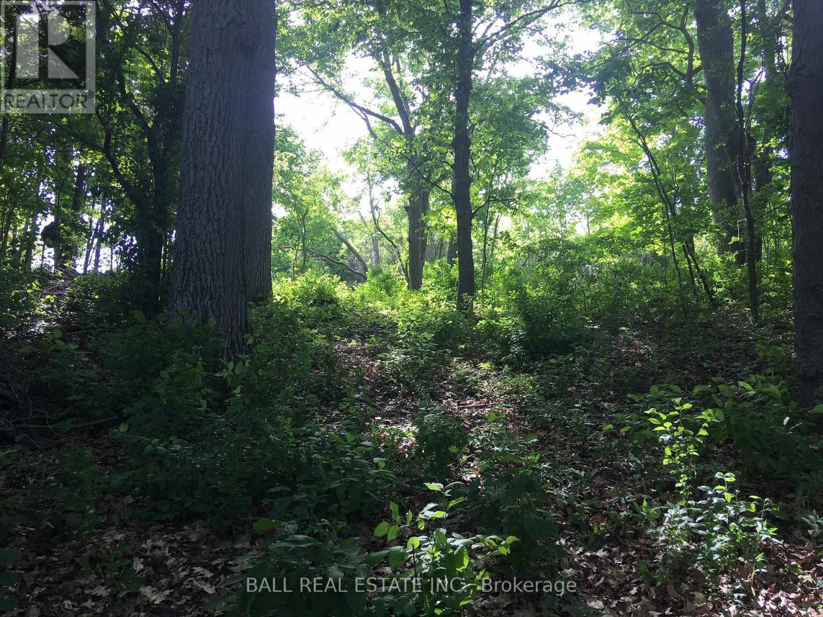 112 Cow Island, Otonabee-South Monaghan, Ontario  K0L 1B0 - Photo 3 - X12252768