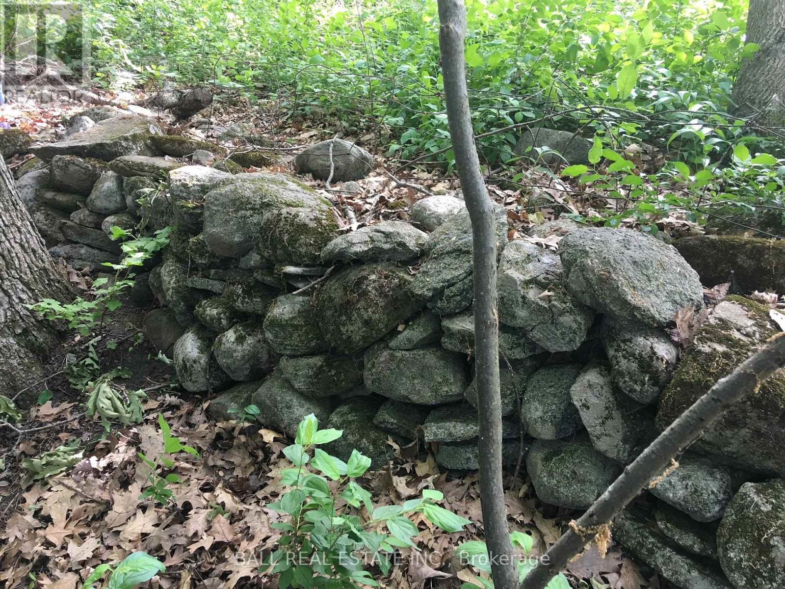 112 Cow Island, Otonabee-South Monaghan, Ontario  K0L 1B0 - Photo 4 - X12252768