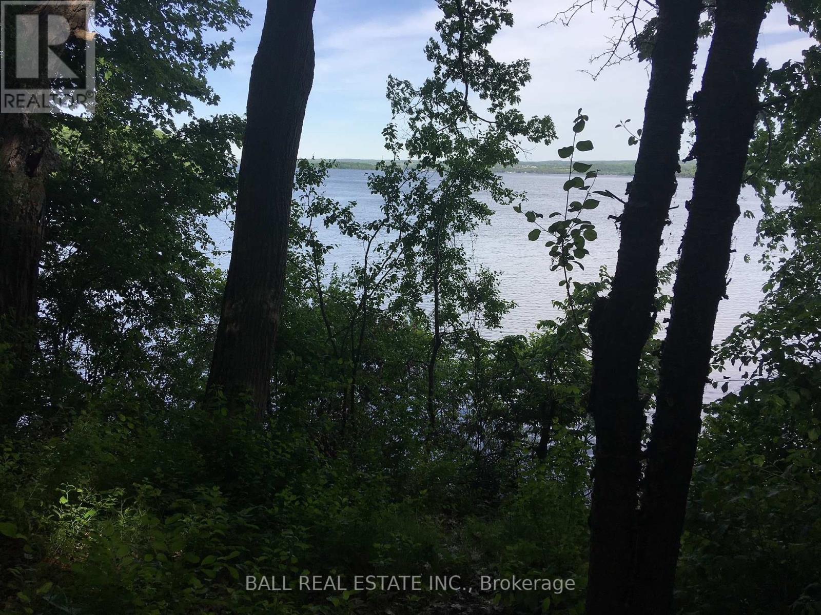 112 Cow Island, Otonabee-South Monaghan, Ontario  K0L 1B0 - Photo 5 - X12252768