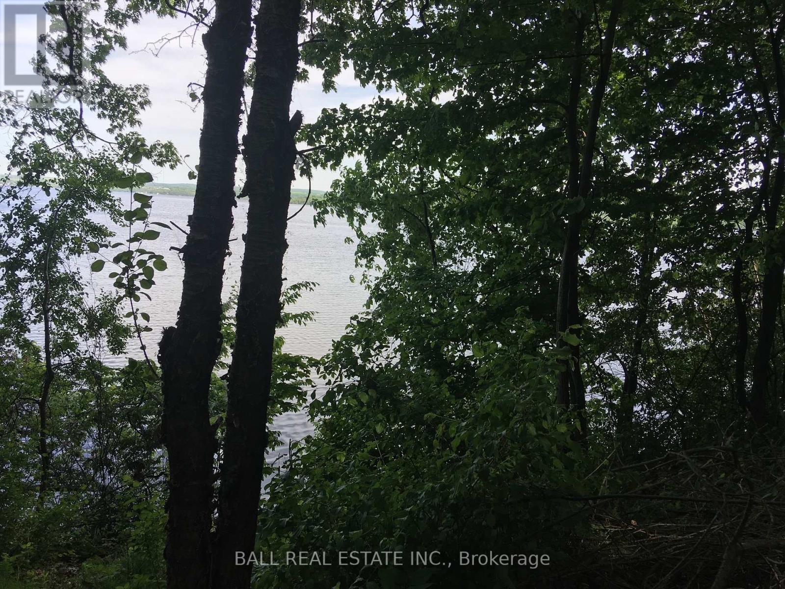 112 Cow Island, Otonabee-South Monaghan, Ontario  K0L 1B0 - Photo 6 - X12252768