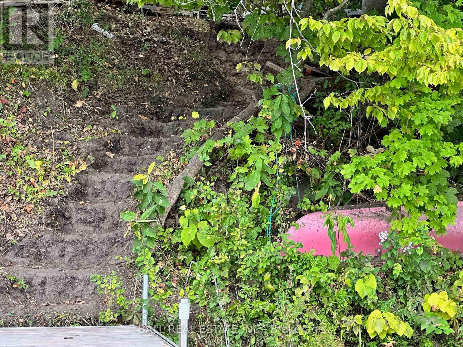 112 Cow Island, Otonabee-South Monaghan, Ontario  K0L 1B0 - Photo 7 - X12252768