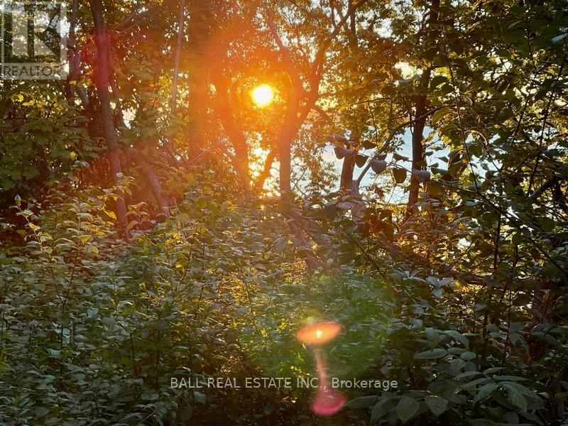 112 Cow Island, Otonabee-South Monaghan, Ontario  K0L 1B0 - Photo 8 - X12252768