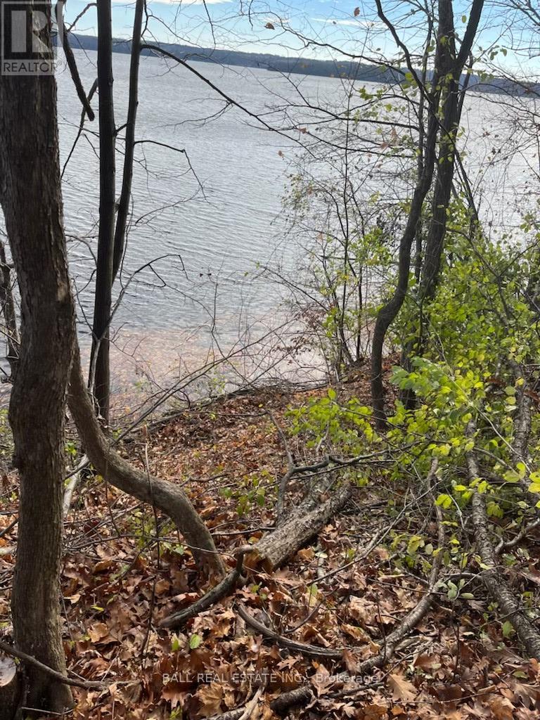 112 Cow Island, Otonabee-South Monaghan, Ontario  K0L 1B0 - Photo 9 - X12252768