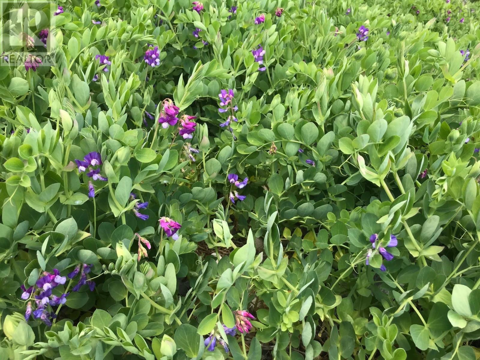 50 Inlet Court, West Quoddy, Nova Scotia  B0H 1W0 - Photo 11 - 202516123