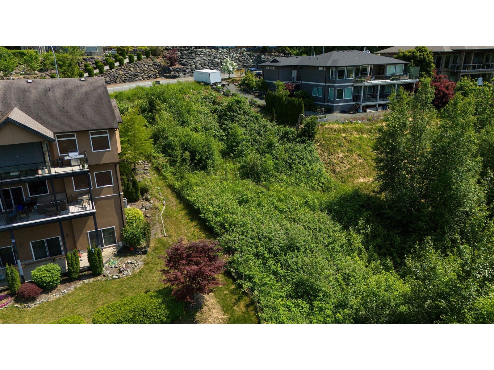 7287 Mount Thurston Drive, Eastern Hillsides, Chilliwack, British Columbia  V4Z 0A3 - Photo 4 - R3001074