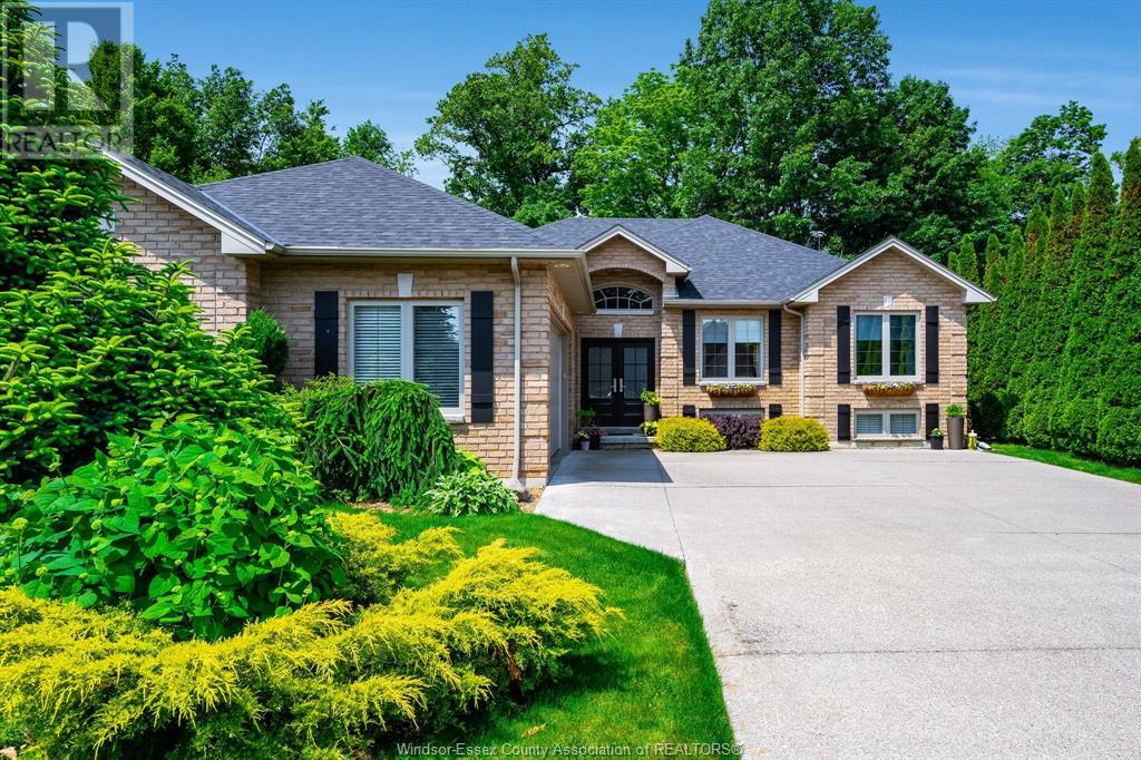 Property at 21 PRIMROSE image 3
