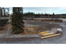 103 Bud'S Way Kananaskis, Rural Bighorn No. 8, M.D. Of, Ca
