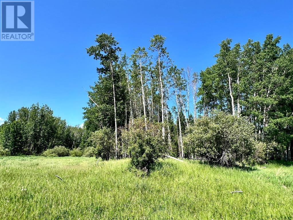On Twp Rd 43-0, Rural Ponoka County, Alberta  T0C 2J0 - Photo 4 - A2231455