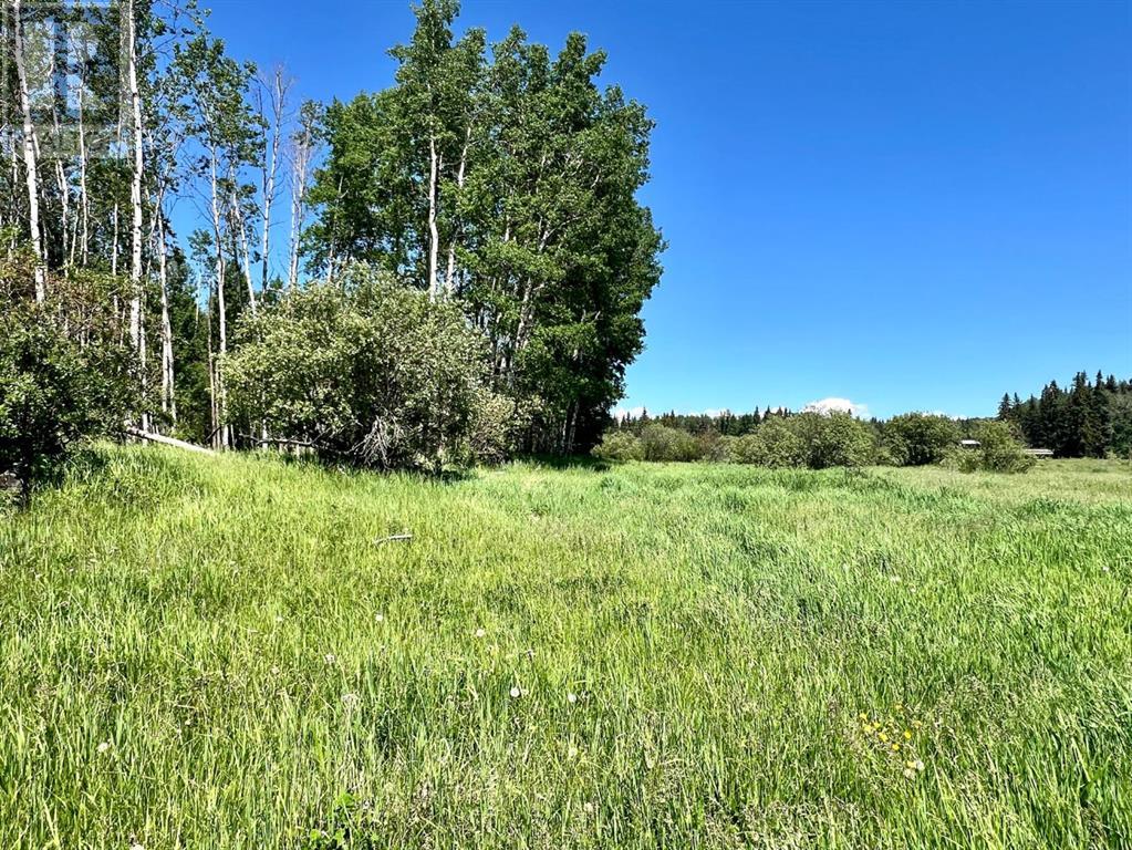 On Twp Rd 43-0, Rural Ponoka County, Alberta  T0C 2J0 - Photo 5 - A2231455