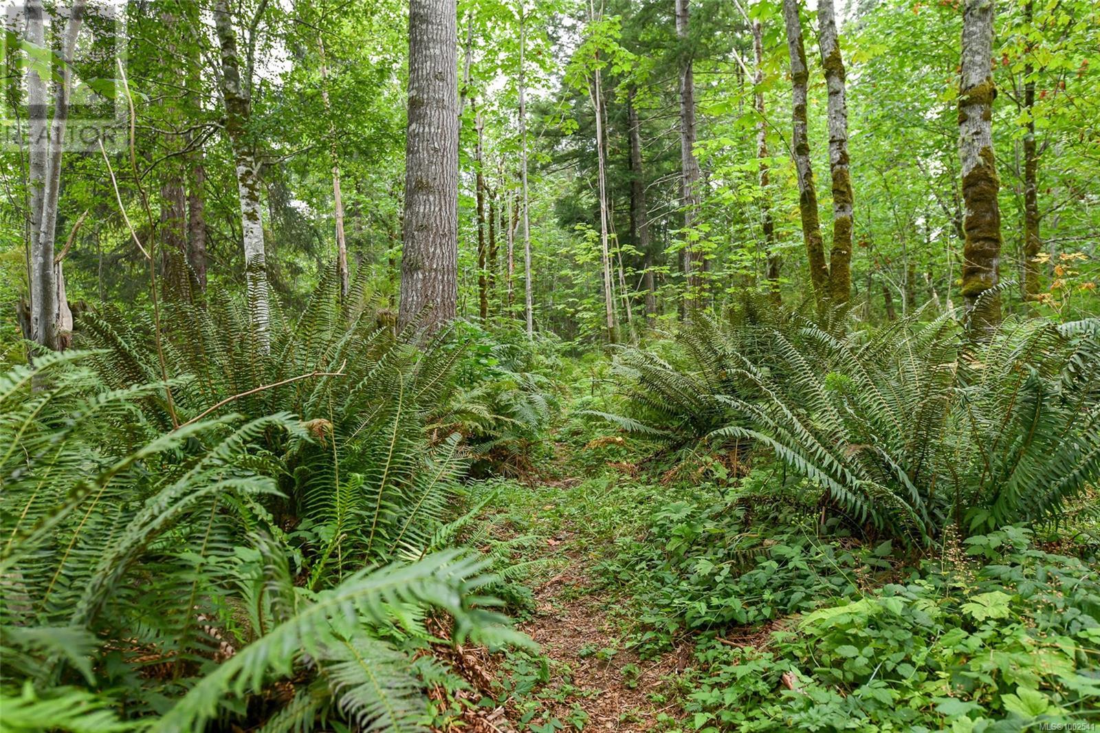 1994 Kelland Rd, Black Creek, British Columbia V9J 1G4 - Photo 56 - 1002541