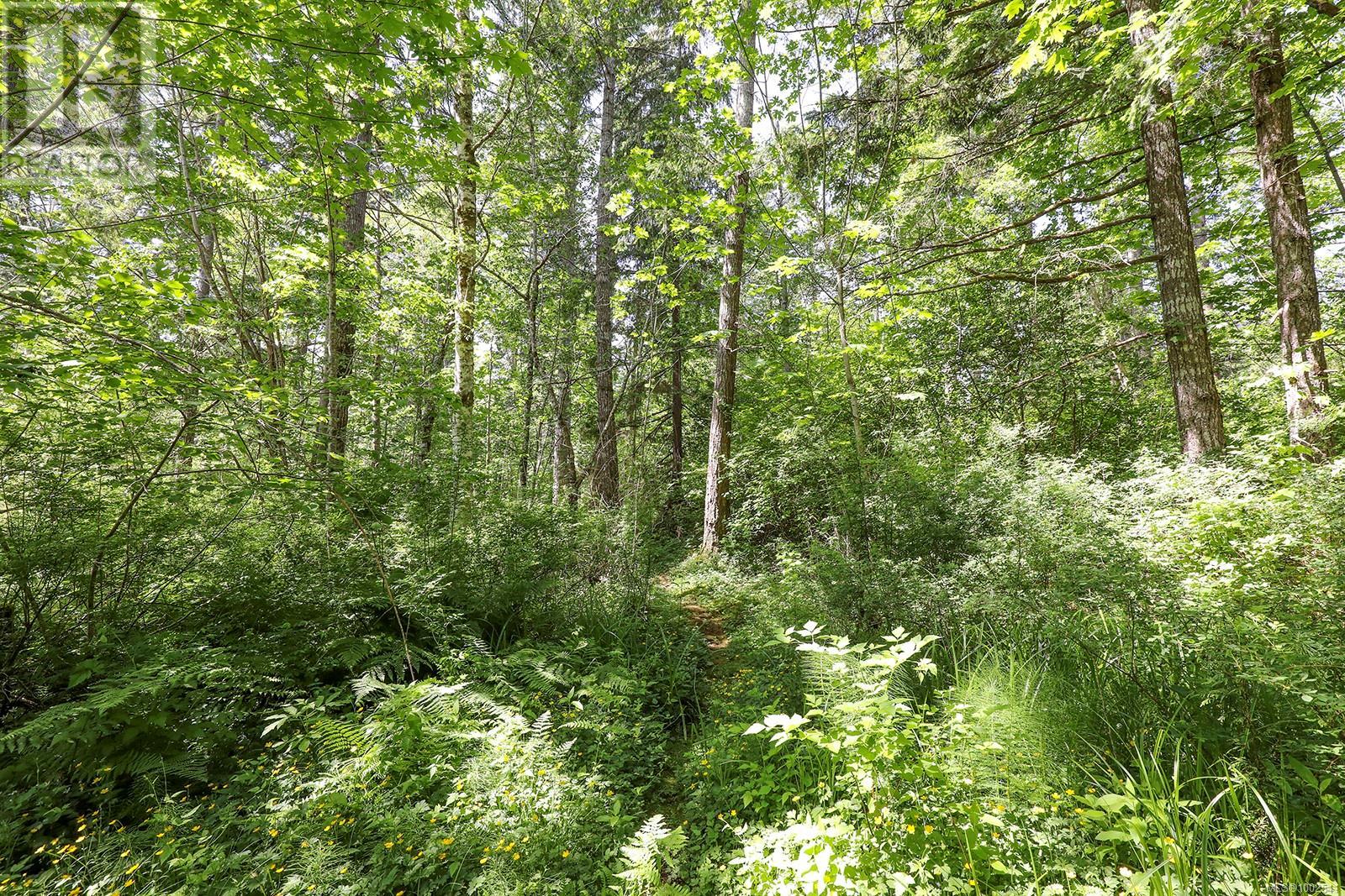 1994 Kelland Rd, Black Creek, British Columbia V9J 1G4 - Photo 52 - 1002541