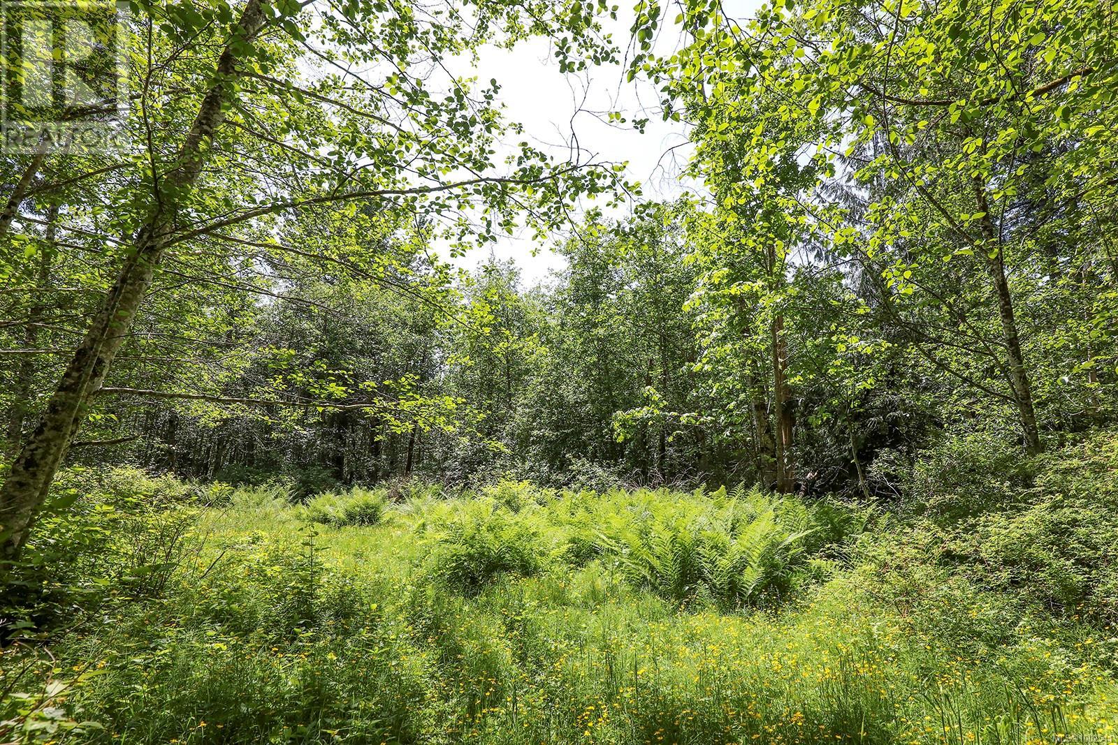 1994 Kelland Rd, Black Creek, British Columbia V9J 1G4 - Photo 53 - 1002541