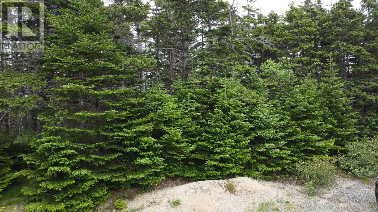 47 Millers Road, Portugal Cove-St. Philips, Newfoundland & Labrador  A1M 3C3 - Photo 13 - 1287108