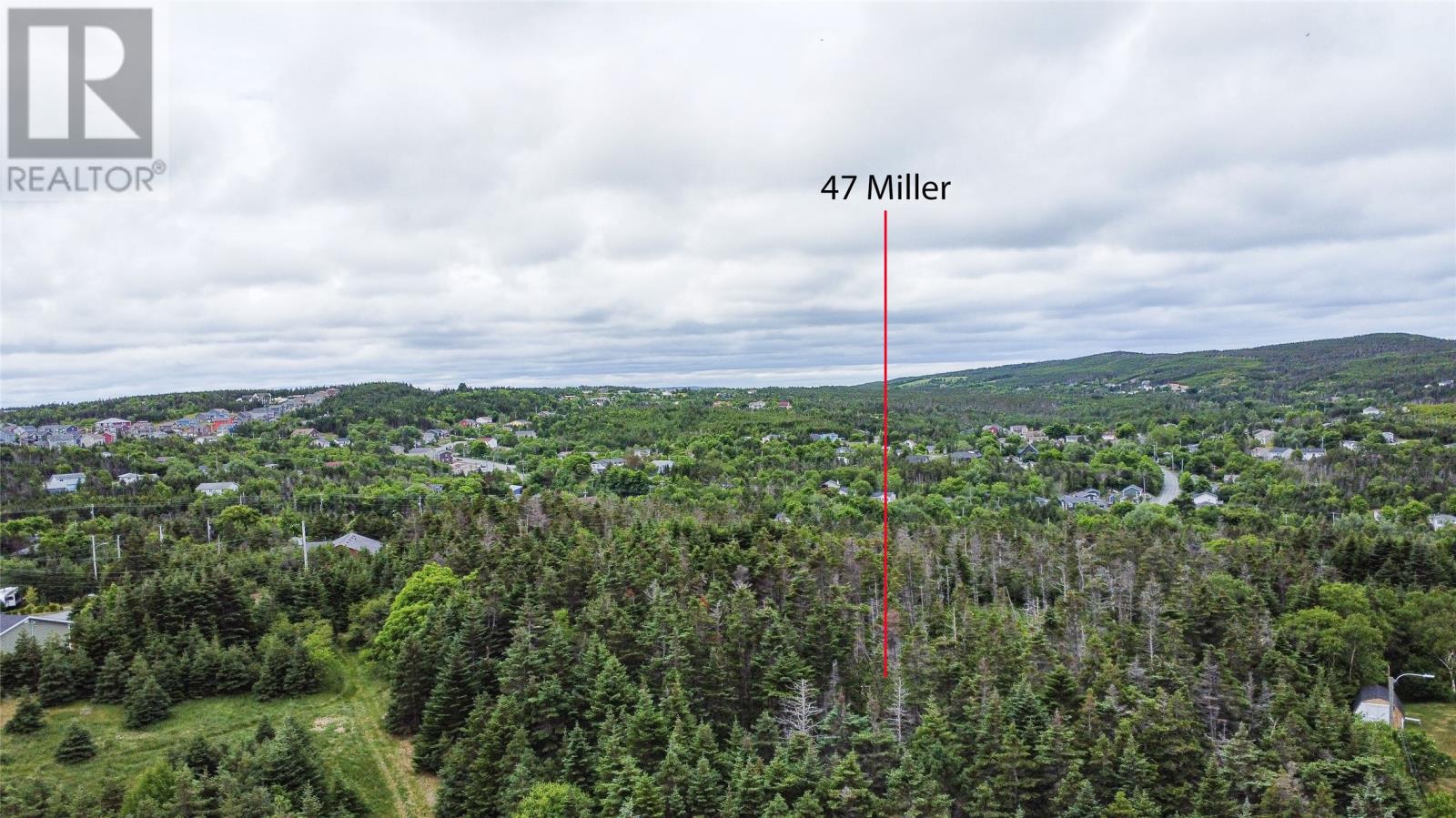 47 Millers Road, Portugal Cove-St. Philips, Newfoundland & Labrador  A1M 3C3 - Photo 9 - 1287108