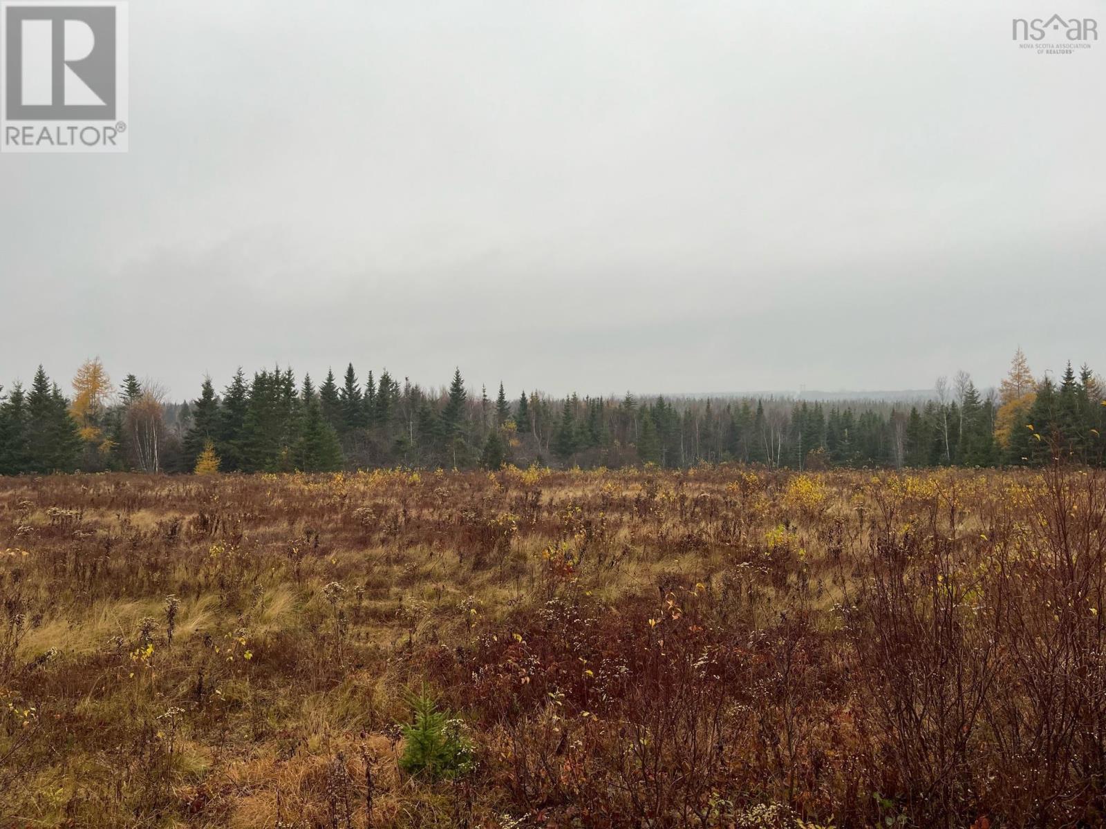 Riversdale Road, Kemptown, Nova Scotia  B6L 2L8 - Photo 6 - 202516145