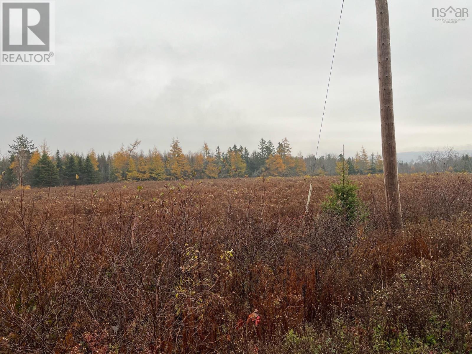 Riversdale Road, Kemptown, Nova Scotia  B6L 2L8 - Photo 7 - 202516145
