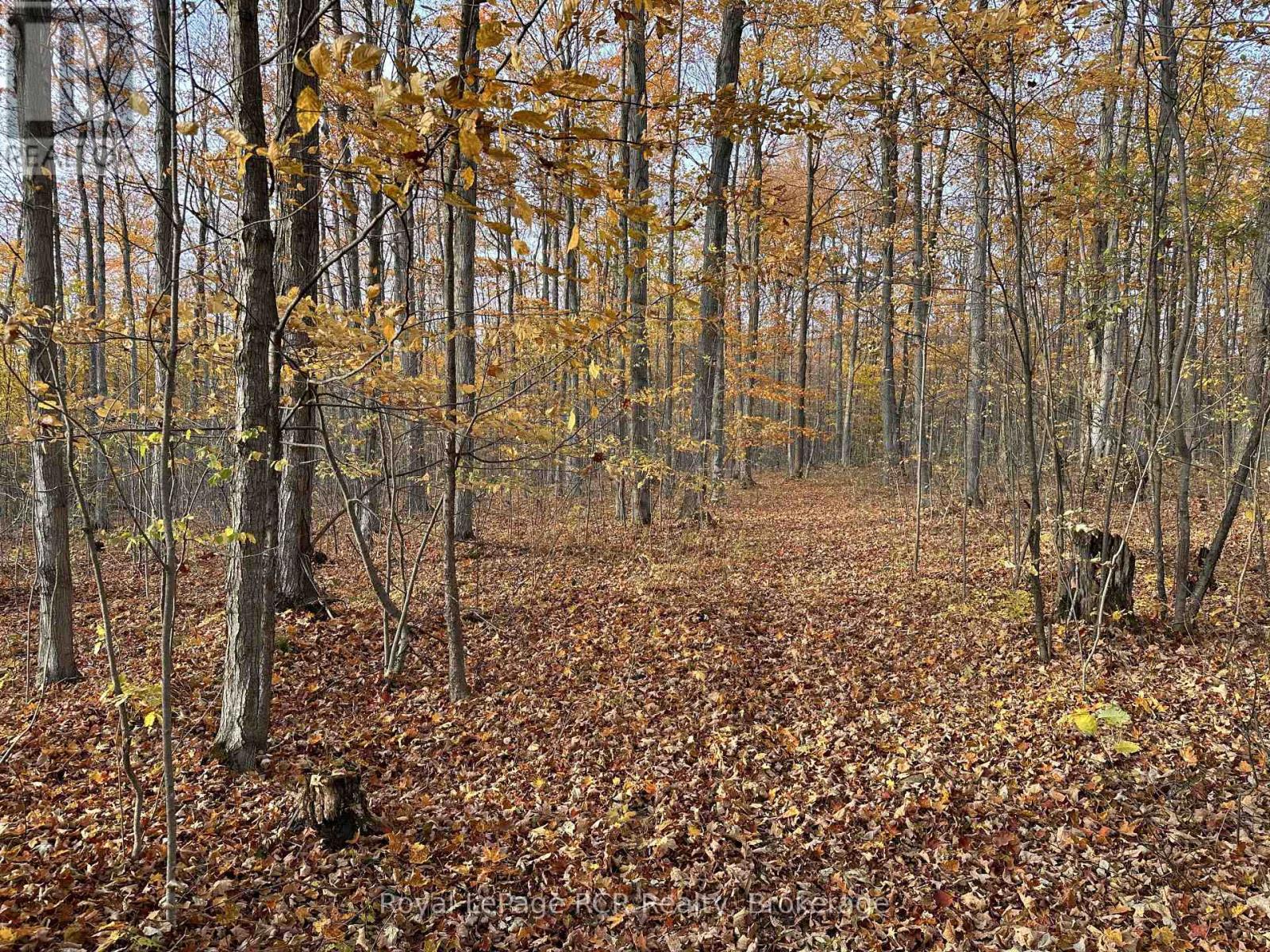 503801 Grey Rd 12, West Grey, Ontario  N0C 1H0 - Photo 45 - X12253345