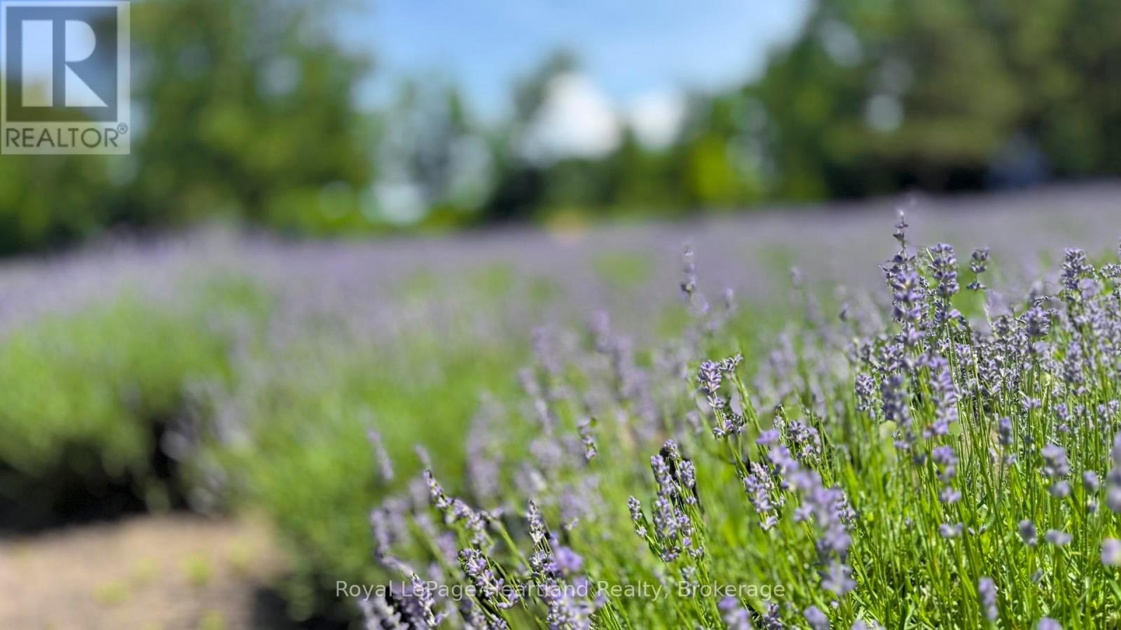 8499 Goosemarsh Line, Lambton Shores, Ontario  N0M 1T0 - Photo 27 - X12253459