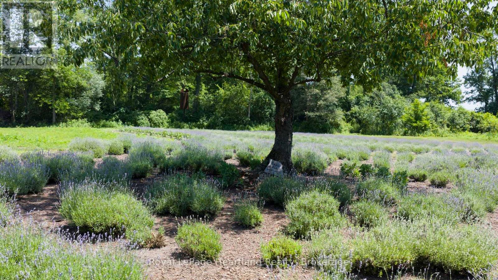 8499 Goosemarsh Line, Lambton Shores, Ontario  N0M 1T0 - Photo 36 - X12253459