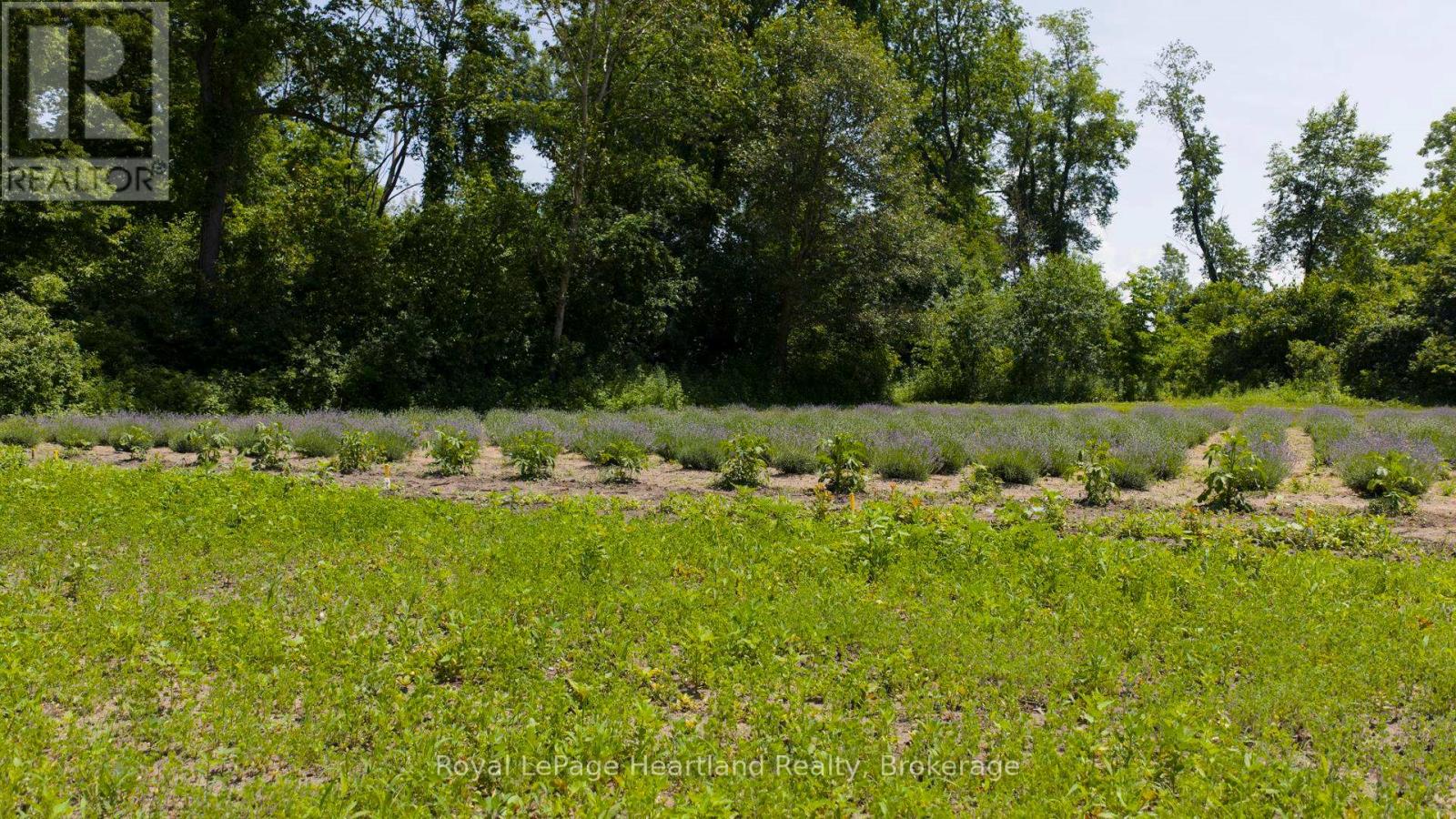 8499 Goosemarsh Line, Lambton Shores, Ontario  N0M 1T0 - Photo 37 - X12253459