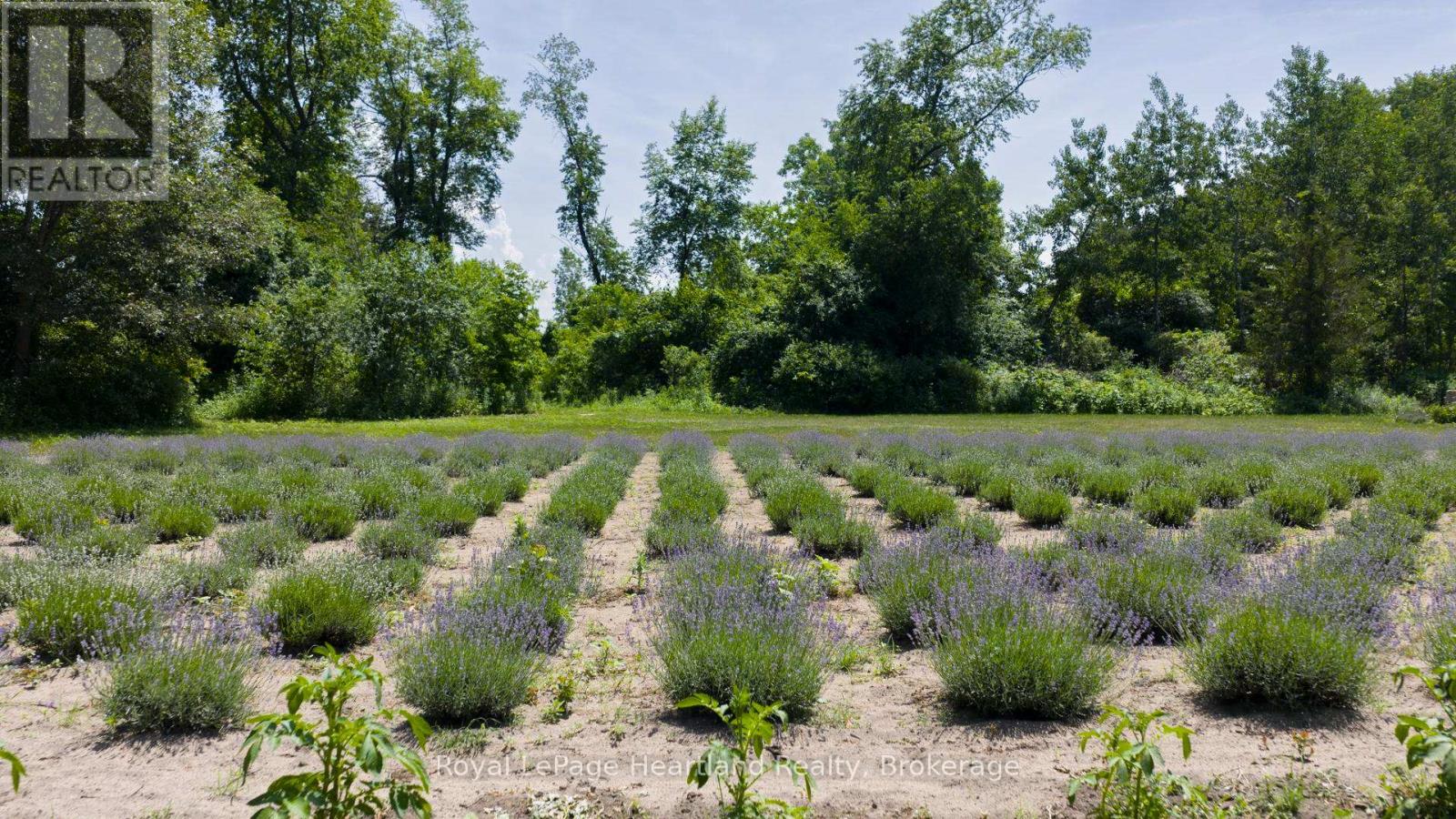 8499 Goosemarsh Line, Lambton Shores, Ontario  N0M 1T0 - Photo 39 - X12253459