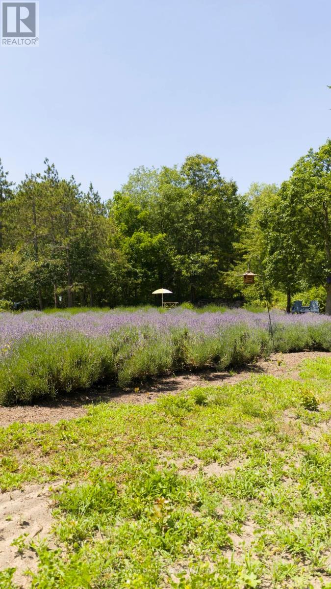 8499 Goosemarsh Line, Lambton Shores, Ontario  N0M 1T0 - Photo 42 - X12253459