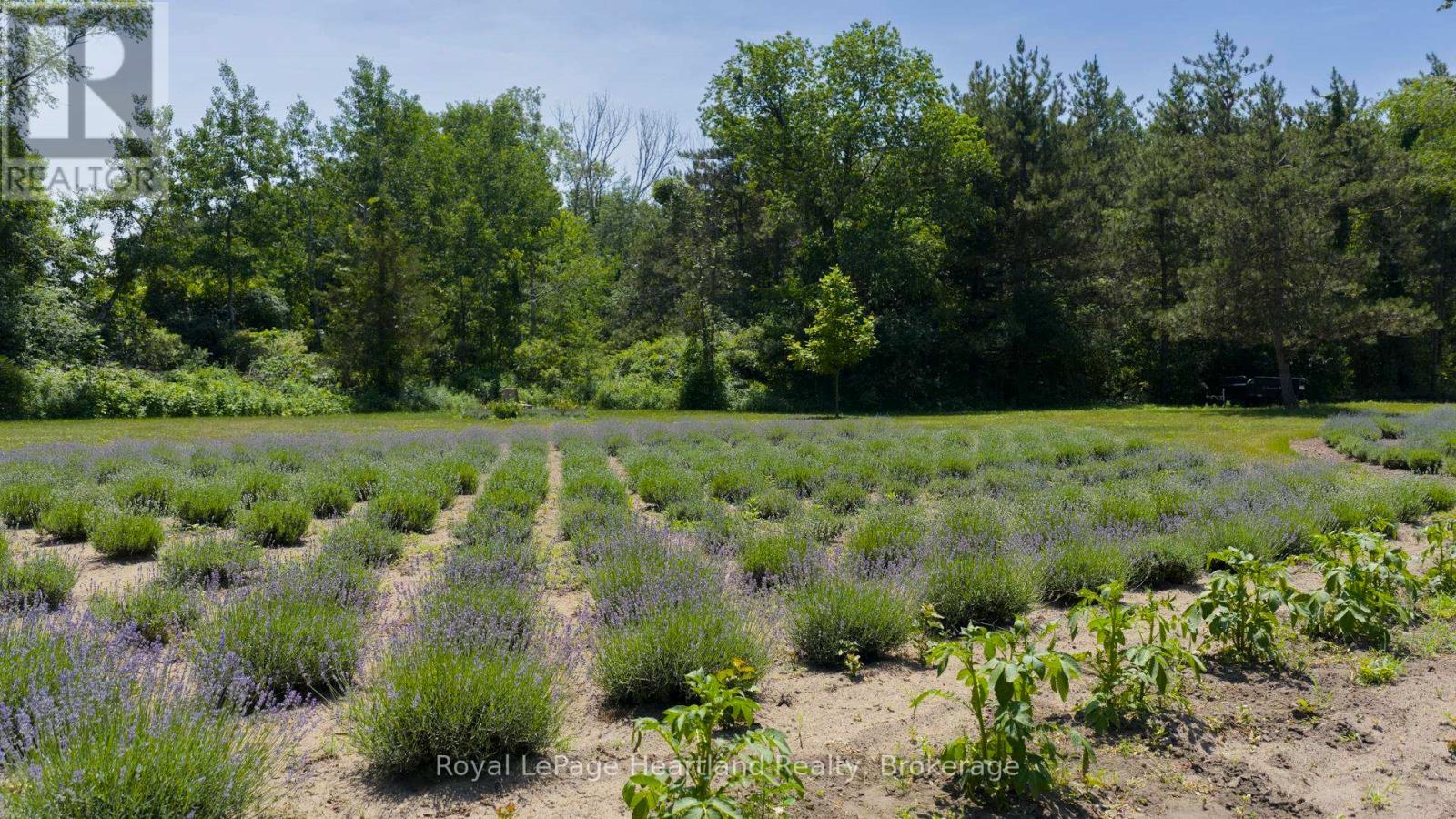 8499 Goosemarsh Line, Lambton Shores, Ontario  N0M 1T0 - Photo 15 - X12253459