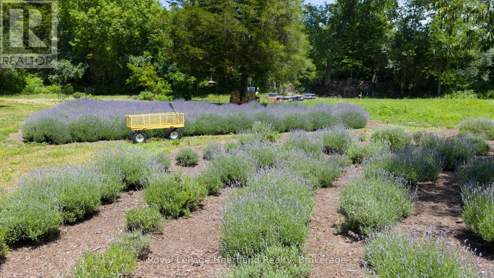 8499 Goosemarsh Line, Lambton Shores, Ontario  N0M 1T0 - Photo 11 - X12253459