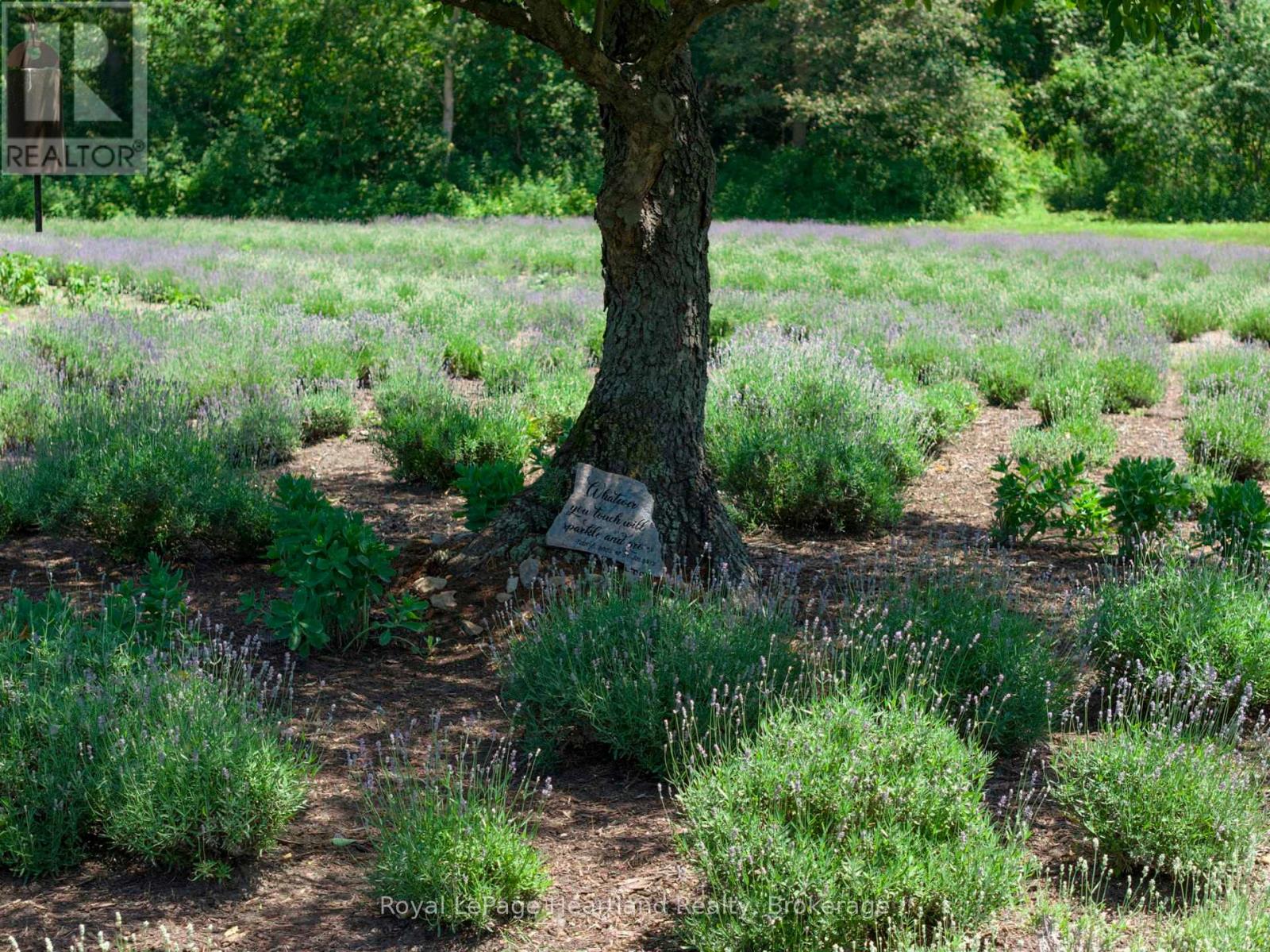 8499 Goosemarsh Line, Lambton Shores, Ontario  N0M 1T0 - Photo 10 - X12253459