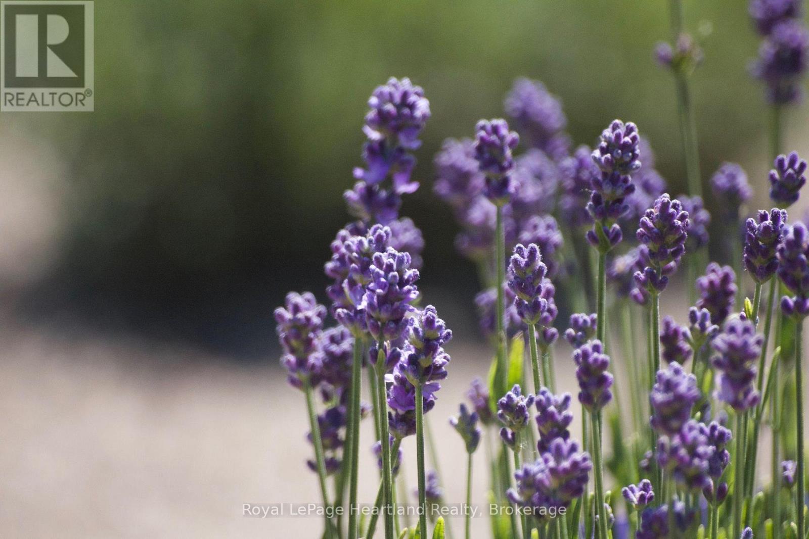 8499 Goosemarsh Line, Lambton Shores, Ontario  N0M 1T0 - Photo 2 - X12253459