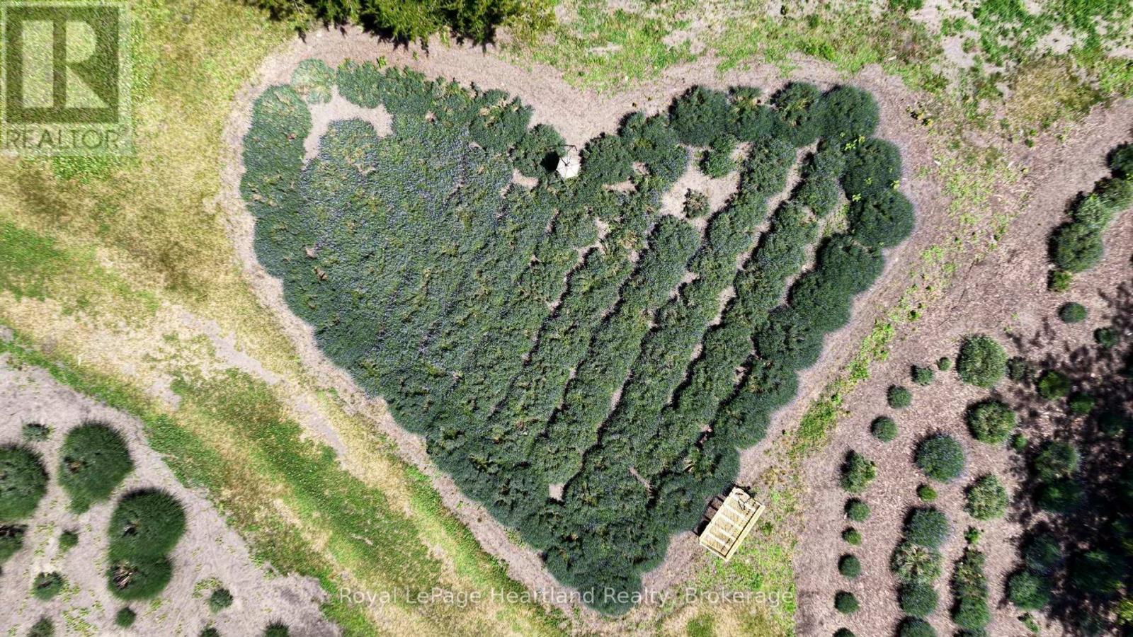 8499 Goosemarsh Line, Lambton Shores, Ontario  N0M 1T0 - Photo 21 - X12253459