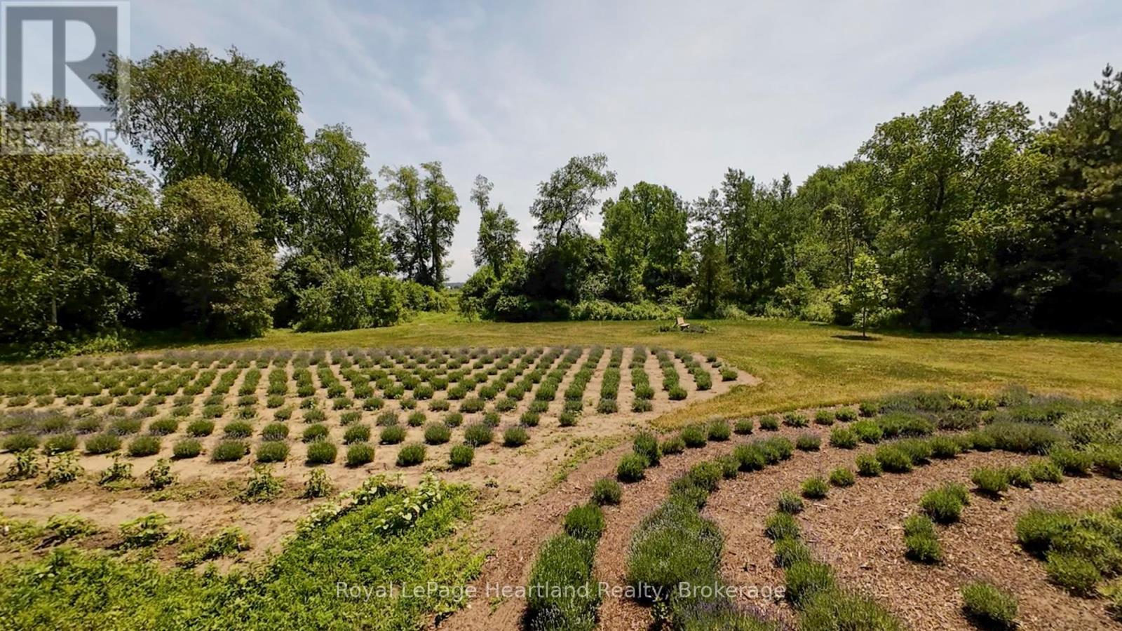 8499 Goosemarsh Line, Lambton Shores, Ontario  N0M 1T0 - Photo 7 - X12253459