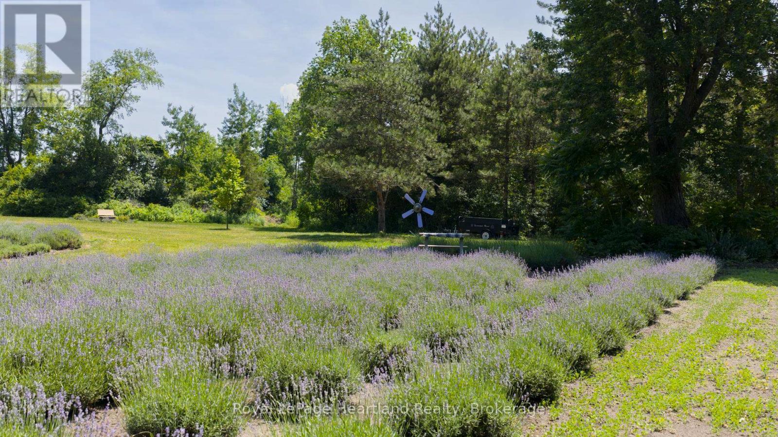 8499 Goosemarsh Line, Lambton Shores, Ontario  N0M 1T0 - Photo 8 - X12253459