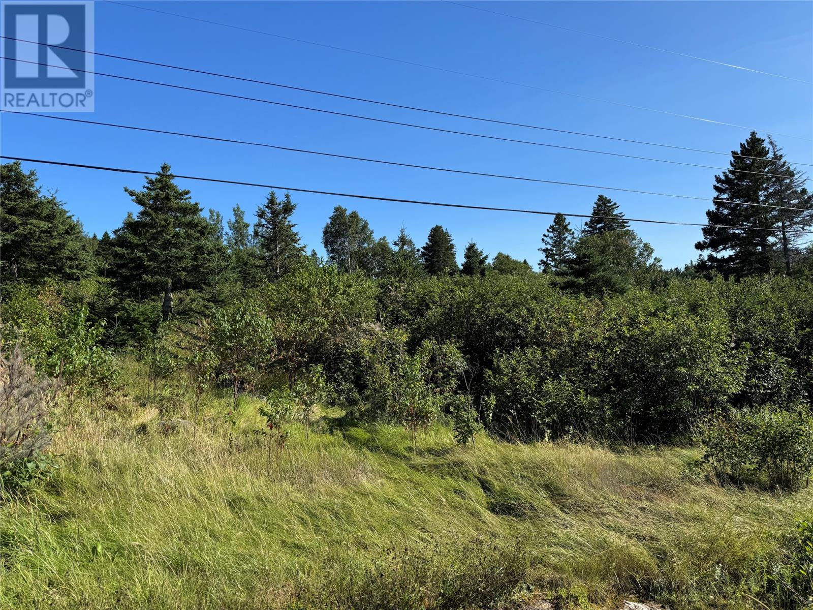 13 Southside Road, Boyd's Cove, Newfoundland & Labrador  A0G 1G0 - Photo 19 - 1287191