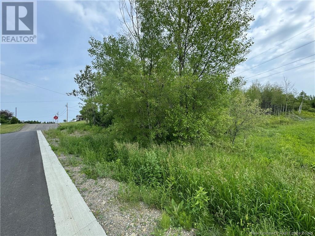 Evangeline Street, Grand-Sault/grand Falls, New Brunswick  E3Y 1B9 - Photo 2 - NB121897