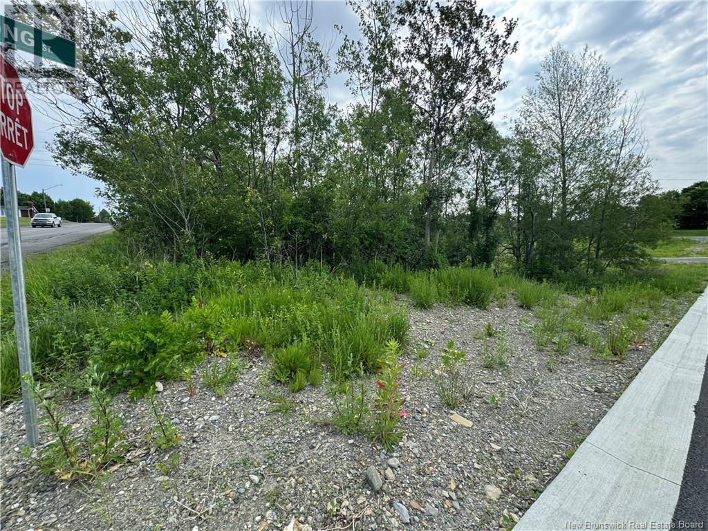 Evangeline Street, Grand-Sault/grand Falls, New Brunswick  E3Y 1B9 - Photo 3 - NB121897