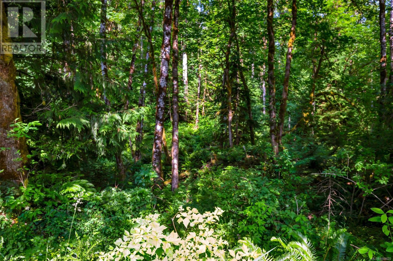 5945 Skutz Falls Rd, Lake Cowichan, British Columbia  V0R 2G0 - Photo 13 - 1004622