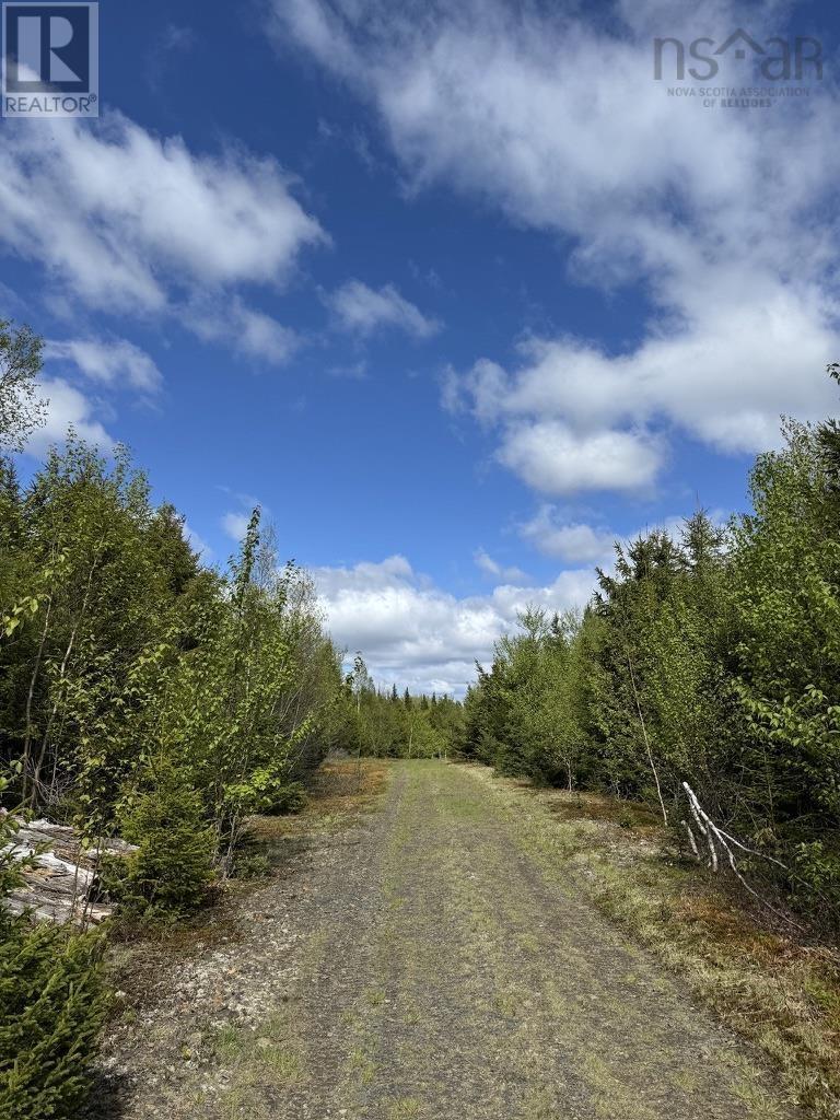 Acreage No 101 Highway, Ardoise, Nova Scotia  B0N 1L0 - Photo 12 - 202516163