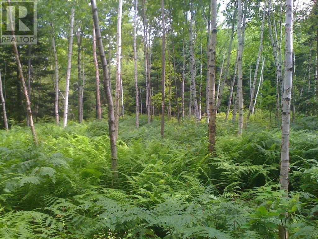 Acreage No 101 Highway, Ardoise, Nova Scotia  B0N 1L0 - Photo 9 - 202516163