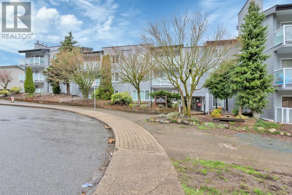 Property at 109 3883 LAUREL STREET image 3