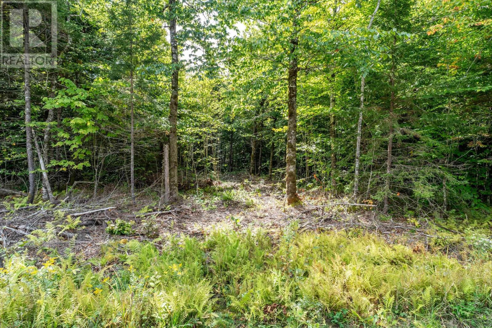 Lot 3 Chemin Theriault Point Road, Belliveaus Cove, Nova Scotia  B0W 1M0 - Photo 14 - 202516182