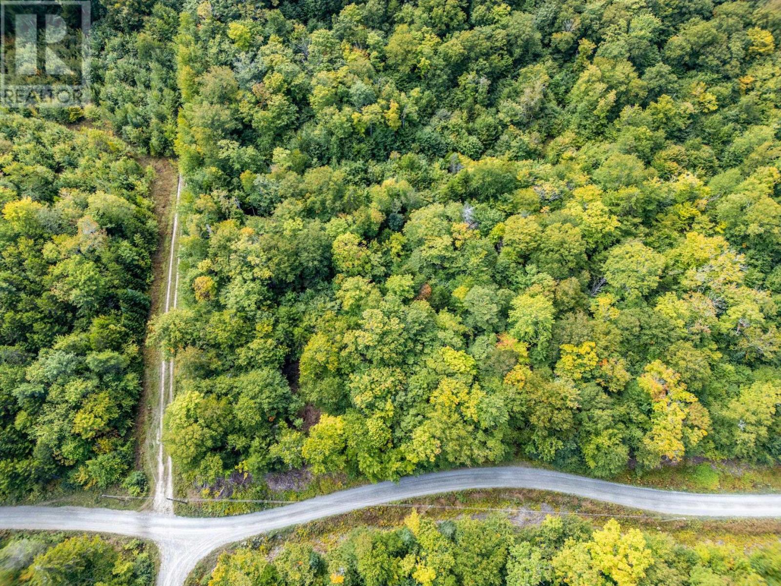 Lot 3 Chemin Theriault Point Road, Belliveaus Cove, Nova Scotia  B0W 1M0 - Photo 2 - 202516182