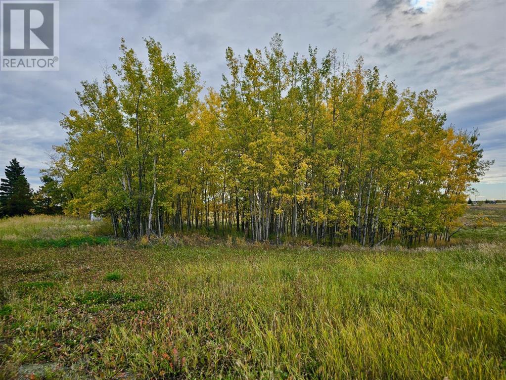 68362 43 Highway, Valleyview, Alberta  T0H 3N0 - Photo 26 - A2169426